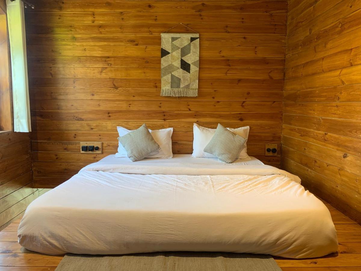 Sugar Cube Retreat Albergue Shimla Exterior foto